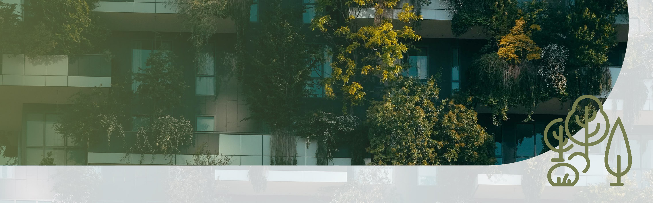 Paysagistes n° 19