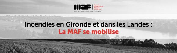 Incendies