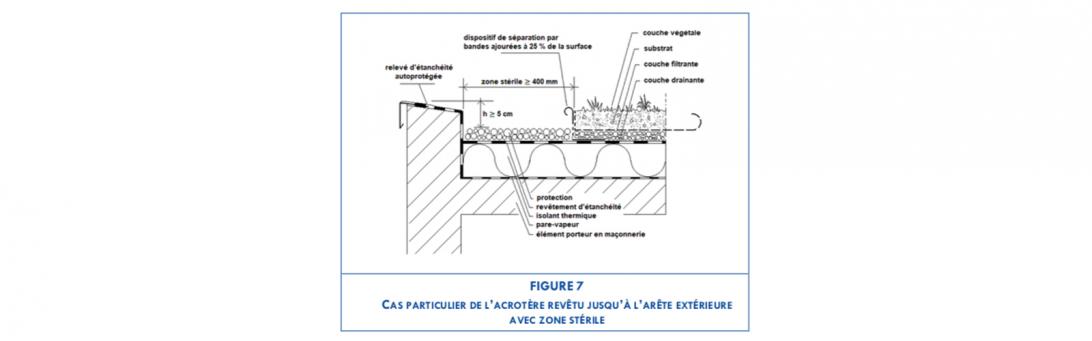 Toitures légères végétalisées