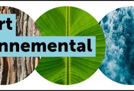 Rapport environnemental MAF 2024