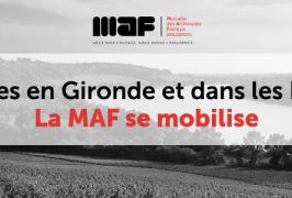 Incendies