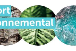 Rapport environnemental 2025