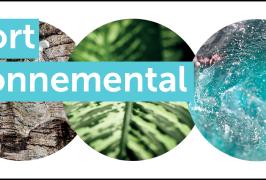 Rapport environnemental 2025