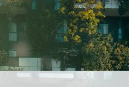 Paysagistes n° 35