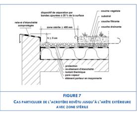 Toitures légères végétalisées