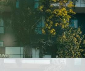 L’actualité des concepteurs : Paysagistes n°18