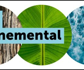 Rapport environnemental MAF 2024