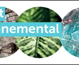 Rapport environnemental 2025